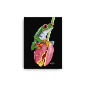 Frog on a Tulip Canvas